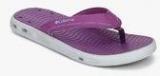 Columbia Vent Cush Purple Flip Flops Women