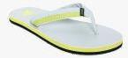 Converse Grey Thong Flip Flops Men