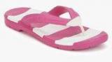 Crocs Beach Line Pink Flip Flops Men