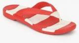 Crocs Beach Line Red Flip Flops men