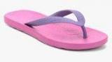 Crocs Chawaii Purple Flip Flops Boys