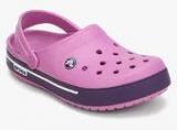 Crocs Crocband II.5 Purple Clogs Men