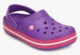 Crocs Crocband Purple Clogs Men