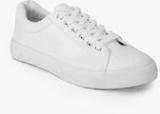 Dorothy Perkins Snake Imogen Casual Sneakers Men