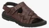 Dr Scholl Brown Sandals Men