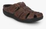 Dr Scholl Sam Fisherman Brown Sandals men