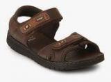 Dr Scholl Sung Brown Sandals men