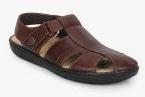 Dr Scholl Tim Fisherman Brown Sandals men