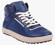 Drish Blue Genuine Leather Sneakers Boys