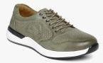 Duke Olive Regular Sneakers Men