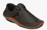 Eego Italy Brown Sandals Men