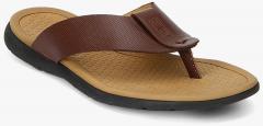 Egle Brown Sandals men