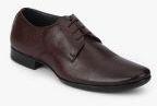 Egoss Brown Derbys Formal Shoes Men