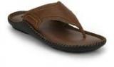 Egoss Tan Slippers Men