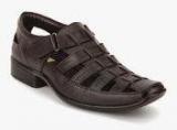 Elpaso Brown Sandals Men