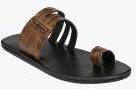 Fentacia Brown Synthetic Comfort Sandals Men