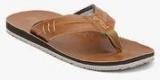 Fila Feather Brown Flip Flops Men