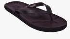 Flipside Brown Slip On Flip Flops Men