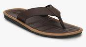 Forca By Lifestyle Brown Flip Flops Men