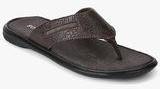 Forca By Lifestyle Brown Slippers Men