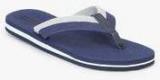 Forca By Lifestyle Navy Blue Flip Flops men