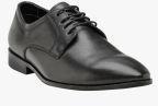 Franco Leone Black Leather Derby Shoes Men