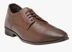 Franco Leone Brown Leather Derby Shoes Men