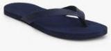 Franco Leone Navy Blue Flip Flops men