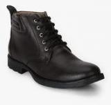 Fresco Brown Derby Boots Men