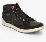 Gas Dolly Brown Sneakers Men