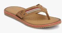 Geox Brown Slippers men