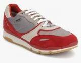 Geox Maroon Running Shoes Men