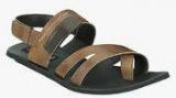 Get Glamr Brown Sandals Men