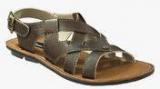 Get Glamr Coffee Sandals Men