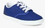 Gini & Jony Sammy Blue Sneakers Boys