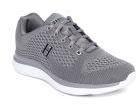 Harvard Grey Mesh Training Shoes Men