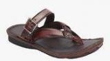 Hitz Brown Slippers Men