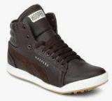 Hoopers Brown Sneakers Men