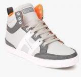 Hoopers Grey Sneakers Men