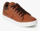 Hoopers Tan Sneakers Men