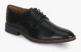 Hush Puppies Albert Bronson Black Derby Formal Shoes Men