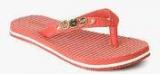 Hush Puppies Allina Pink Flip Flops Women