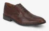 Hush Puppies Bronson Elastic Brown Oxford Formal Shoes Men