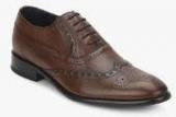 Hush Puppies Brown Oxford Brogue Formal Shoes Men