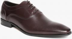 Hush Puppies Brown Oxfords Formal Shoes men