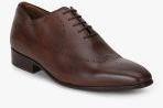 Hush Puppies Brown Solid Oxfords Men