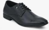 Hush Puppies Cesar Derby Black Formal Shoes Men