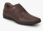 Hush Puppies Corso Oxford Brown Formal Shoes Men