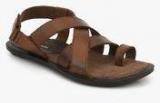 Hush Puppies Edan Sandal Brown Sandals men