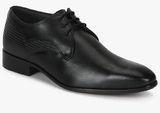 Hush Puppies Elan Embossed Black Derby Formal Shoes Men